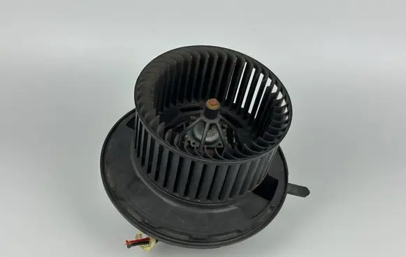 Mercedes-Benz A W169 Heater fan/blower A1698200642 982485P 0387310
