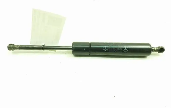 Tailgate strut