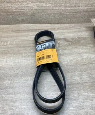 Volkswagen PASSAT B5 Alternator belt 6PK1635