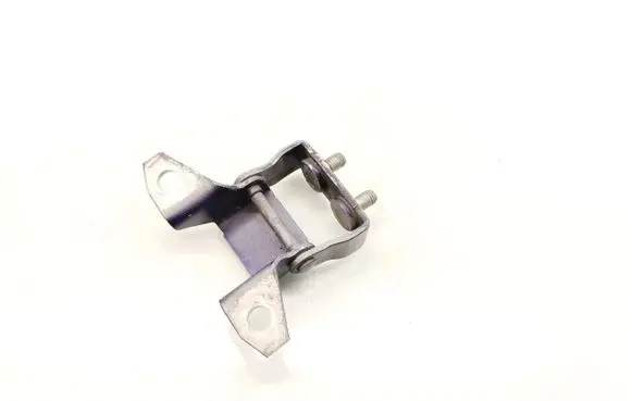Tailgate/trunk/boot hinge