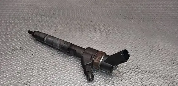 Smart ForTwo I Fuel injector 0445110023 A6600700187