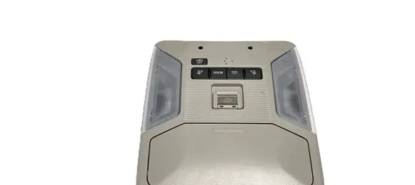 Toyota RAV 4 (XA50) Front seat light 8973B42010 32295