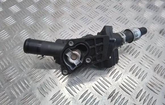 Thermostat/thermostat housing