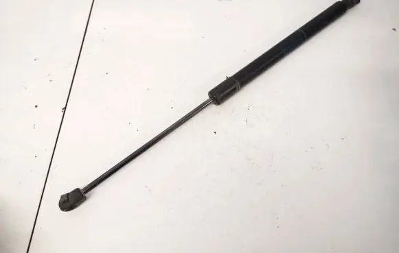 Tailgate/trunk strut/damper