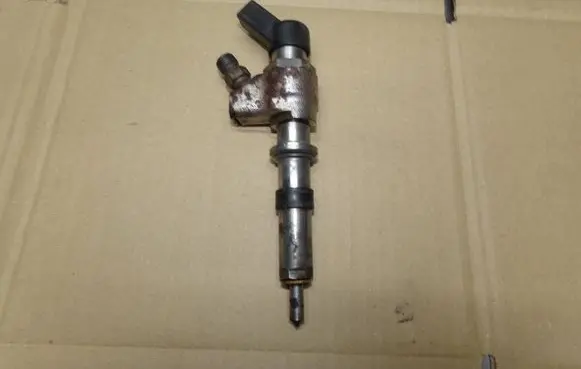 Peugeot Partner Fuel injector 9636819380