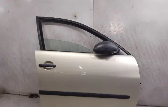 Seat Cordoba (6L) Front door