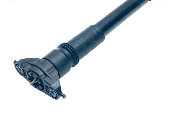 Citroen C4 III e-C4 Rear shock absorber/damper 9841379480 9831620380 9824499480