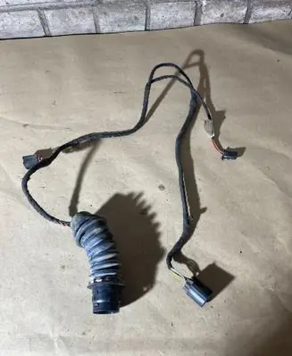 Rear door wiring loom