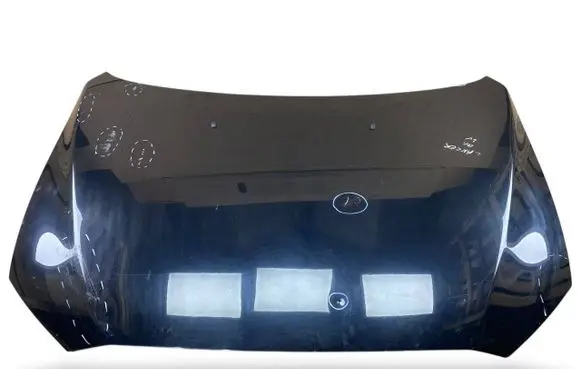 Mitsubishi Lancer X Engine bonnet/hood 5900A209