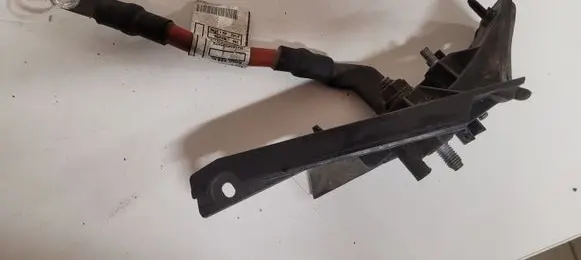 BMW 1 F20 F21 Positive cable (battery) 750000105D 8616810