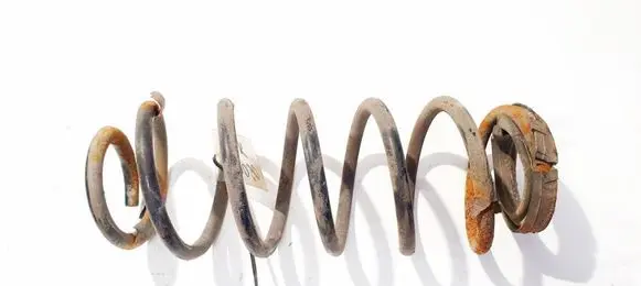 Rear coil spring