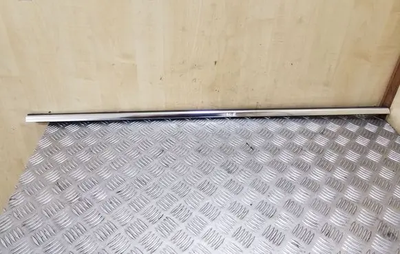 Rear door glass trim molding