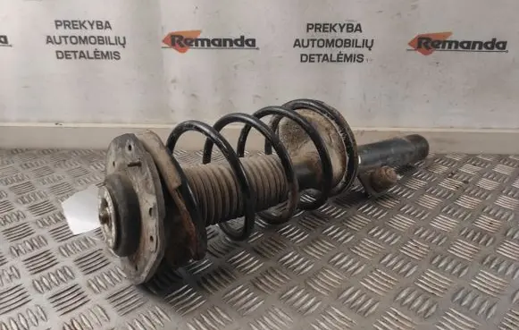 Peugeot 206 Front shock absorber with coil spring
