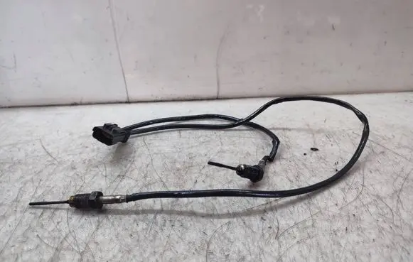 Peugeot 508 II Exhaust gas temperature sensor