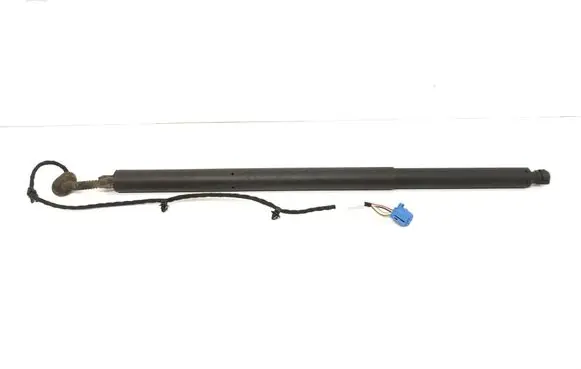 Tailgate strut
