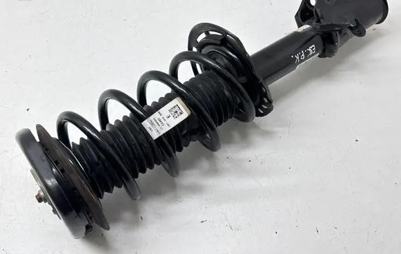 Ford Escape IV Front shock absorber with coil spring PZ1C18K001SBB