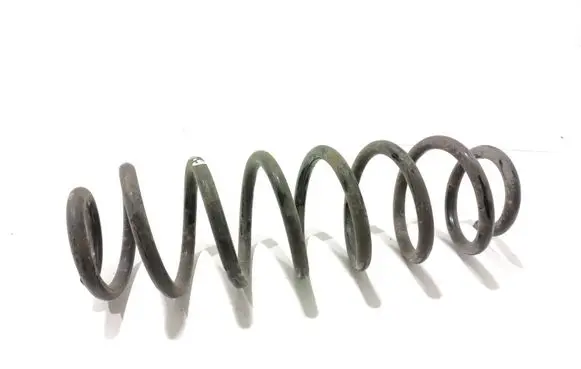 Rear coil spring