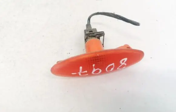 Front fender indicator light