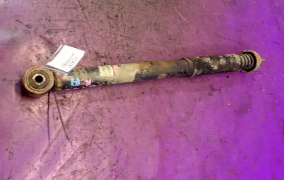 Renault Clio II Rear shock absorber/damper DG7894