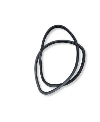 Audi Q5 SQ5 Front door rubber seal 