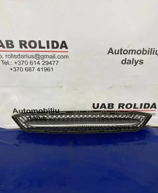 BMW X1 E84 Front bumper lower grill 51117303753