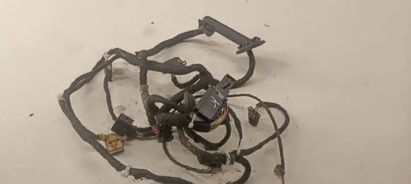 Volkswagen Golf IV Front door wiring loom
