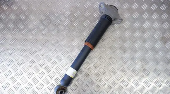 Toyota RAV 4 (XA50) Rear shock absorber/damper 4853042130