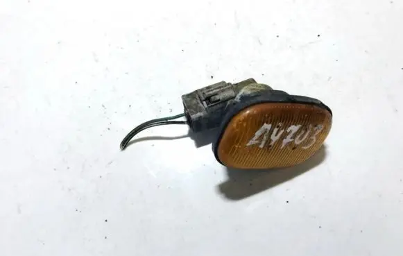 Front fender indicator light