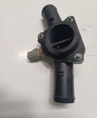 Thermostat/thermostat housing