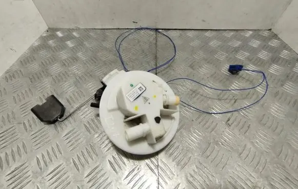 Porsche Panamera (970) Fuel injection high pressure pump 97020142101
