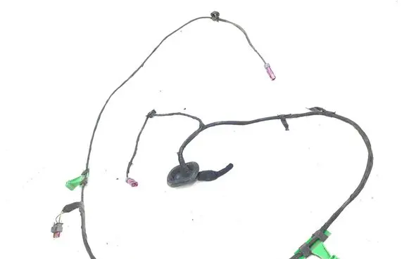 Other wiring loom