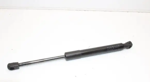 Tesla Model 3 Tailgate/trunk strut/damper 109156000B