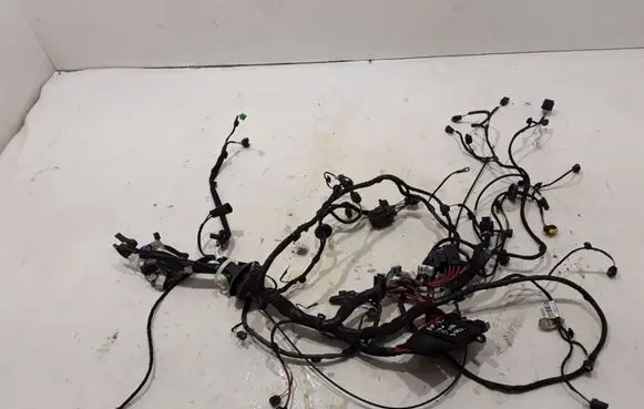 Renault Espace V (RFC) Other wiring loom 403889015R
