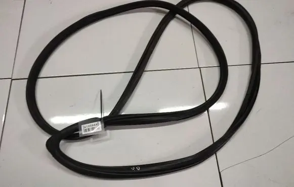 Subaru B9 Tribeca Rubber seal front coupe door 