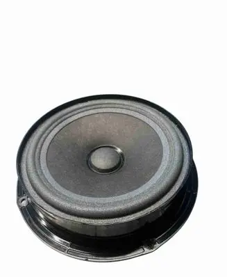 Volkswagen Tiguan Rear door speaker 5N0035453C