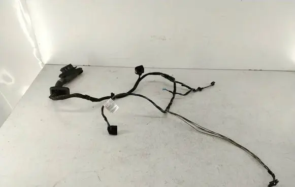 BMW X1 E84 Front door wiring loom 9191808