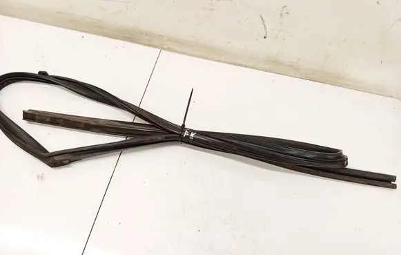 Nissan X-Trail T30 Rubber seal front coupe door