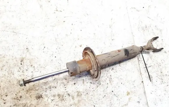 Volkswagen PASSAT B5 Front shock absorber/damper 3b0413031a