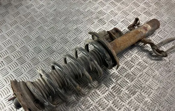 Land Rover Freelander 2 - LR2 Rear shock absorber with coil spring 