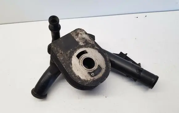 Renault Kangoo I Engine coolant pipe/hose 8200552604 nr8156