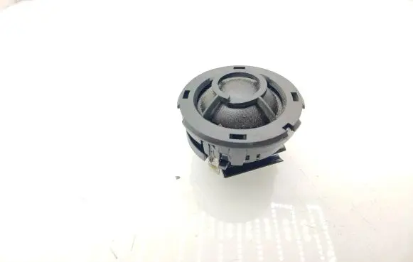 Front door high frequency speaker