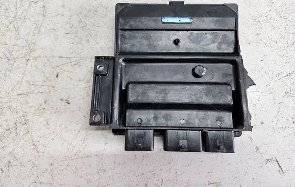KIA Carnival Engine control unit/module 391024X520 0001656BVG R0410C010E