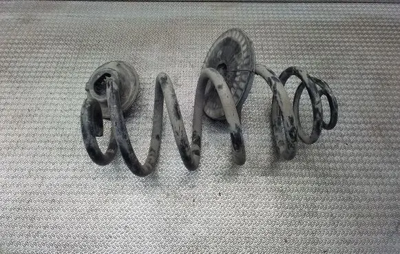 Rear coil spring
