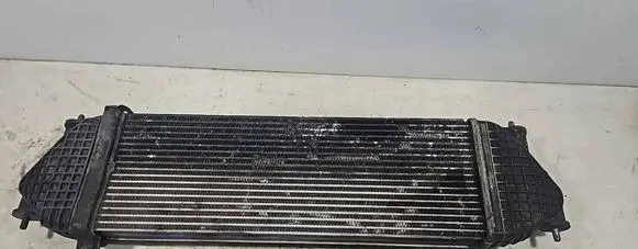 Suzuki Grand Vitara II Intercooler radiator