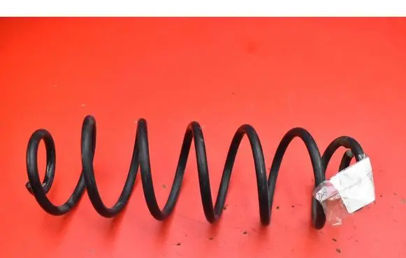 Rear coil spring