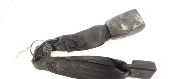 Hyundai Sonata Rear seatbelt buckle