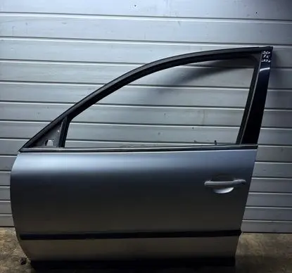 Volkswagen PASSAT B5.5 Front door