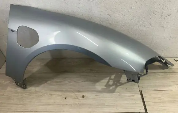 Porsche Taycan 9J1 Fender