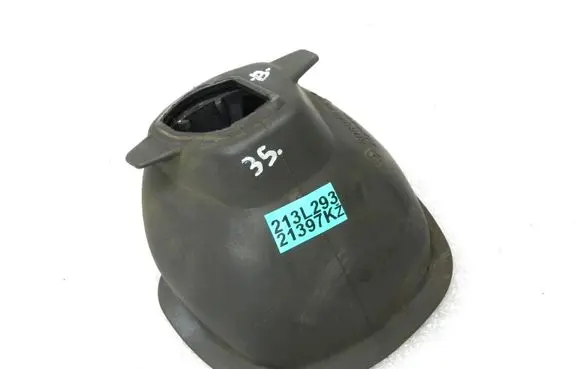 Renault Trafic III (X82) Front door check strap stopper 808940769R