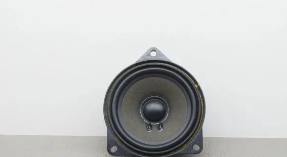 BMW 5 G30 G31 Rear door speaker 9395859